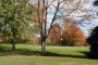 Travis Pointe, Saline Golf Course View