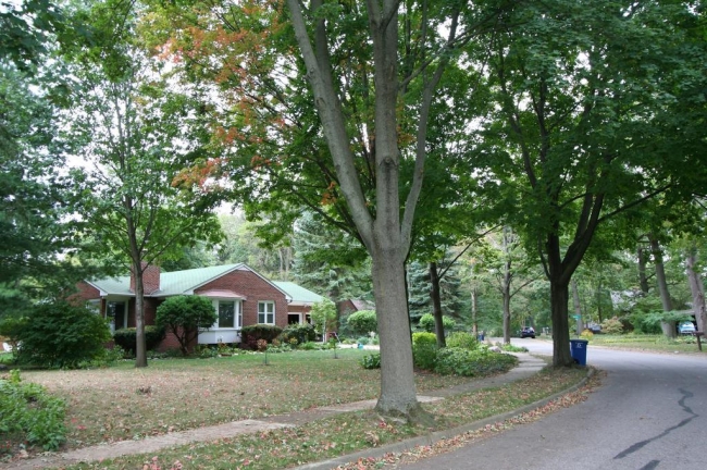 Lakewood Street View