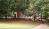 Golden Eagle Tallahassee Neighborhood Swimming Pool