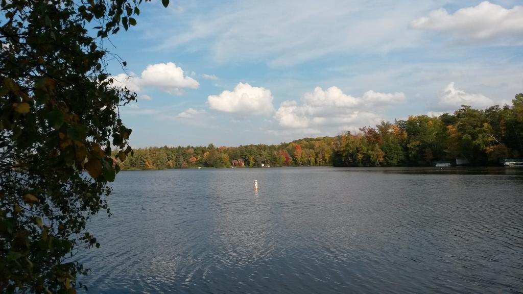 Lake Namekagon Residential & Real Estate Information