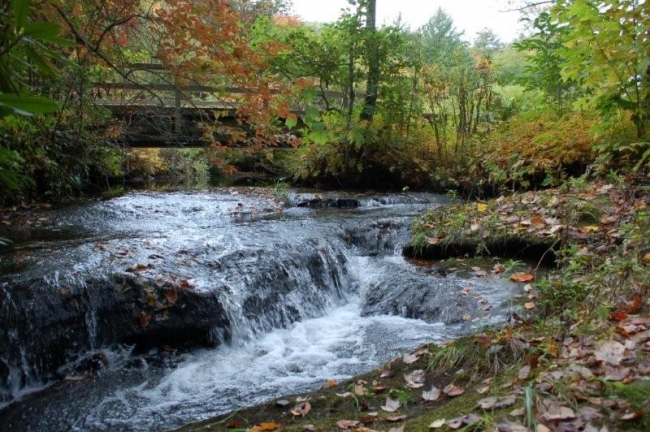 Horsepasture River